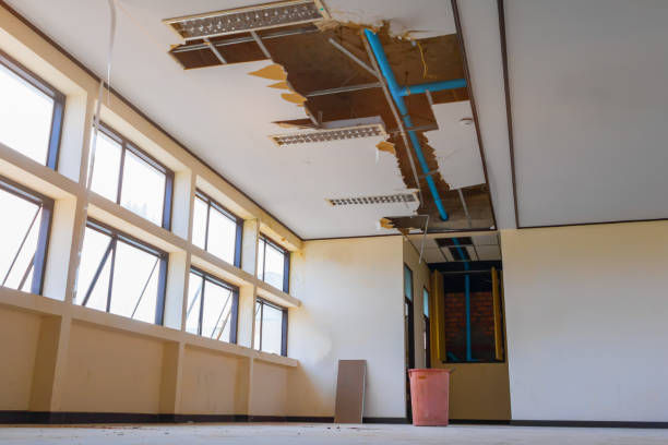 Best Water damage cleanup near me  in Fivepointville, PA