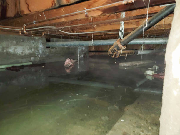 Best Fire Damage Restoration  in Fivepointville, PA