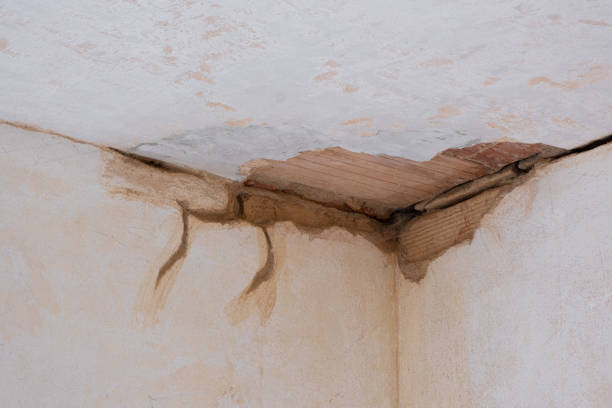 Best Water damage restoration near me  in Fivepointville, PA