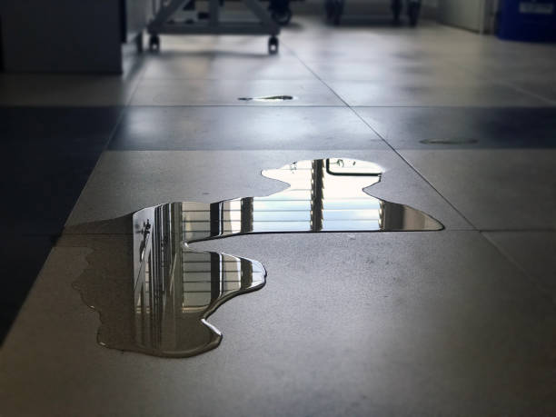 Best Water damage restoration experts  in Fivepointville, PA