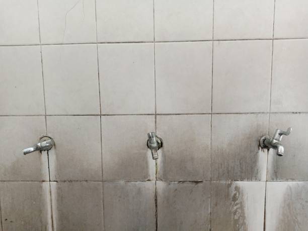 Best Carpet water damage restoration  in Fivepointville, PA