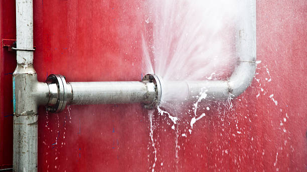 Best Sewage cleanup and water damage restoration  in Fivepointville, PA