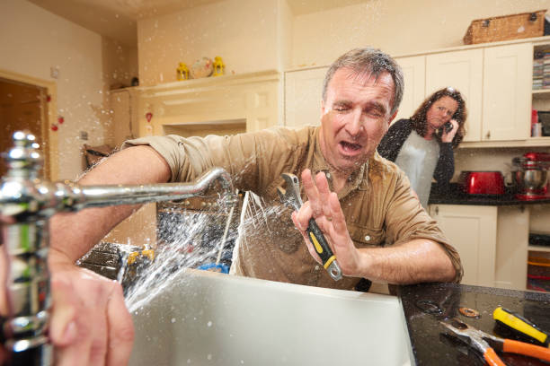 Best Mold removal after water damage  in Fivepointville, PA